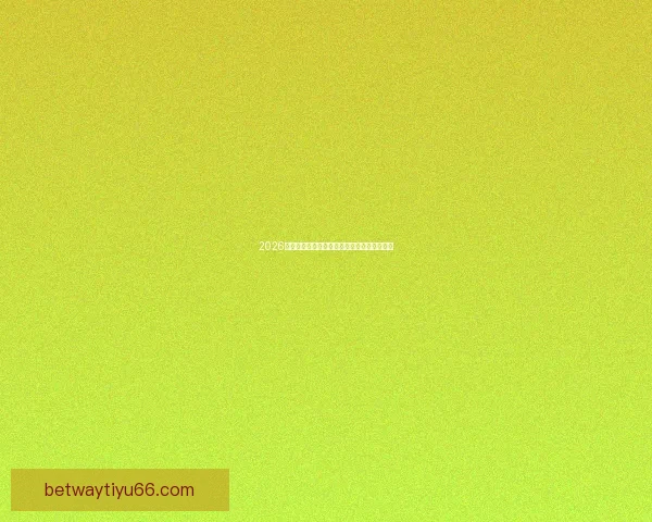 2026年美国世界杯主场馆分布与赛事精彩全景解析