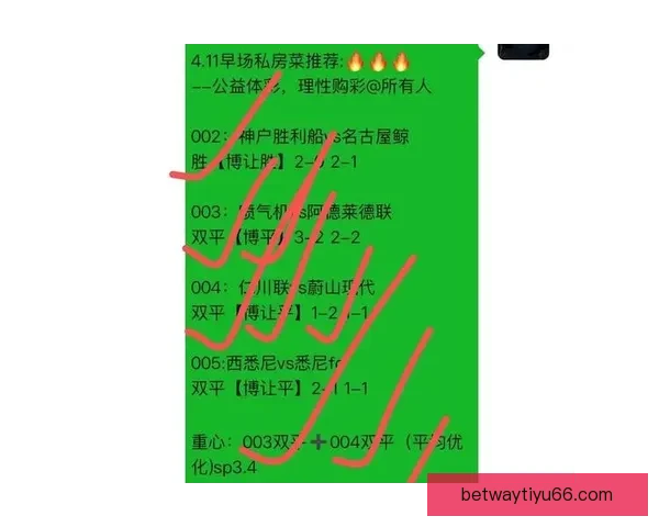 世界杯足球赛事深度竞猜解析与胜负趋势全面剖析